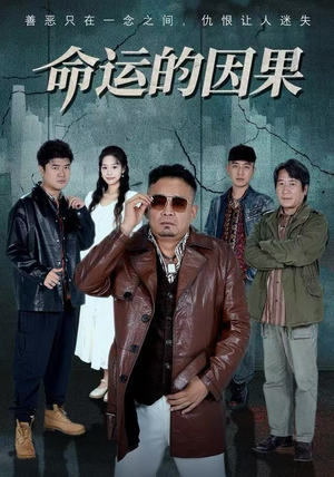 命运的因果（60集）评价怎么样