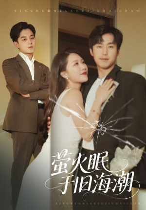 萤火眠于旧海潮（63集）网盘在线观看