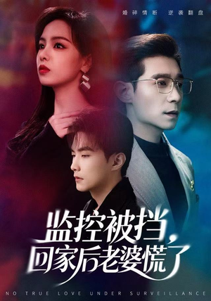 监控被挡，回家后老婆慌了（60集）甜宠短剧追到爽