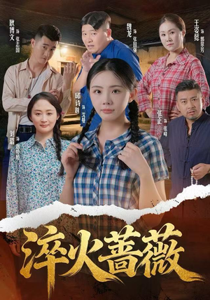 淬火蔷薇（50集）无需会员轻松看