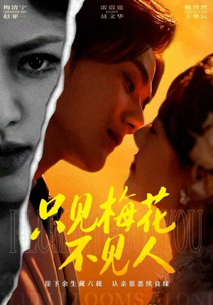 只见梅花不见人（63集）网盘在线观看