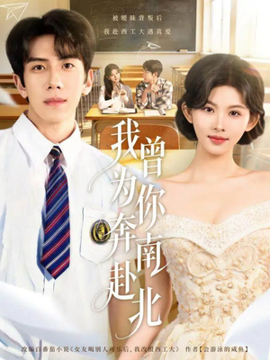 我曾为你奔南赴北（60集）免费看