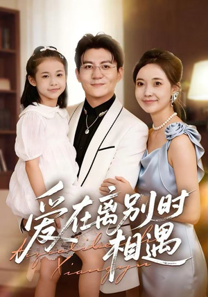 爱在离别时相遇（60集）口碑之选免费看