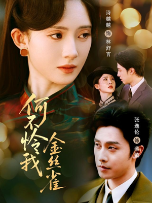 何不怜我金丝雀（60集）解说