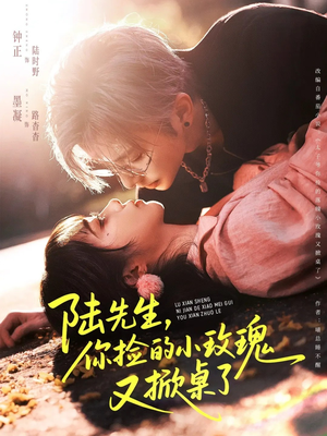 陆先生，你捡的小玫瑰又掀桌了（74集）推荐你们也去看