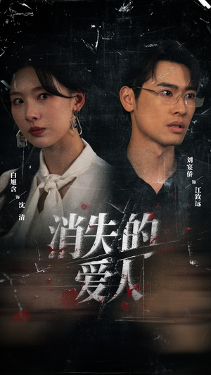 消失的爱人（56集）全季一次看完