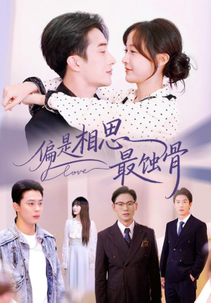 偏是相思最蚀骨（70集）短剧解说热门