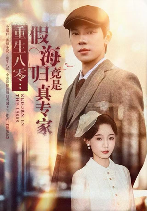 重生八零：假海归竟是真专家（65集）完整版免费观看