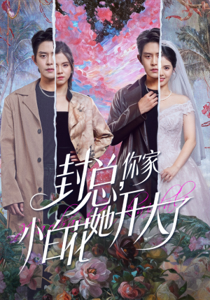 大佬你的牙粘口红了（60集）精彩片段