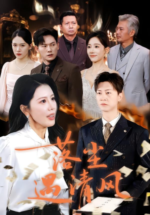 离婚而已（74集）在线观看