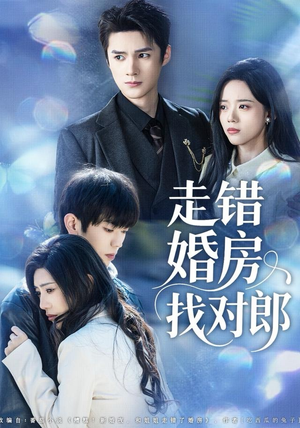 走错婚房找对郎(50集) 走错婚房找对郎(50集)最热门短剧来了