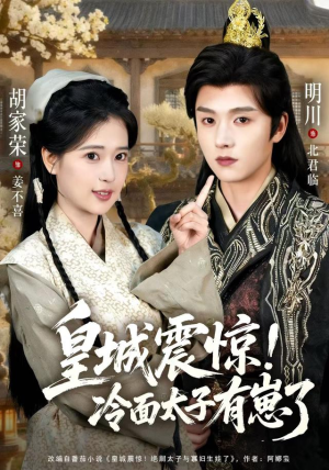 皇城震惊冷面太子有崽了（105集）精彩短剧看全集