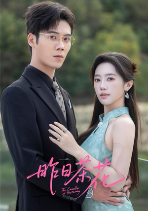 昨日茶花（56集）80到100集