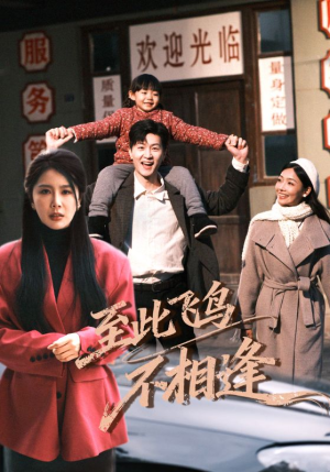 至此飞鸟不相逢（70集）免费看全网短剧