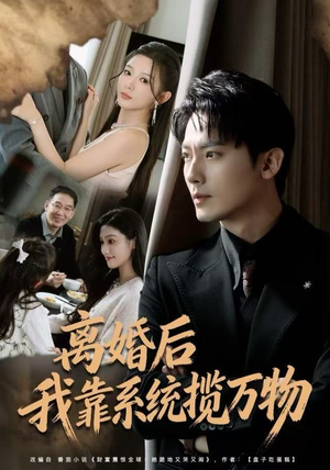 离婚后我靠系统揽万物（80集）解说