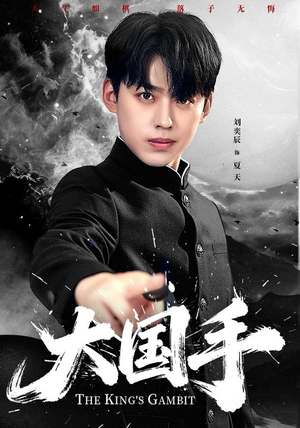 大国手（76集）爆火短剧推荐