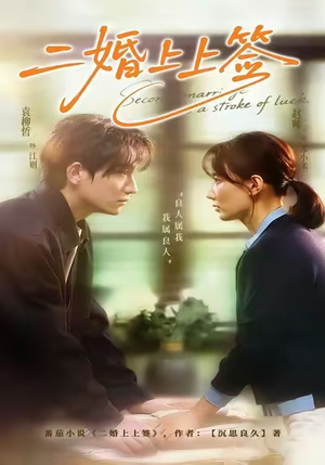 二婚上上签(71集) 二婚上上签(71集)第一集