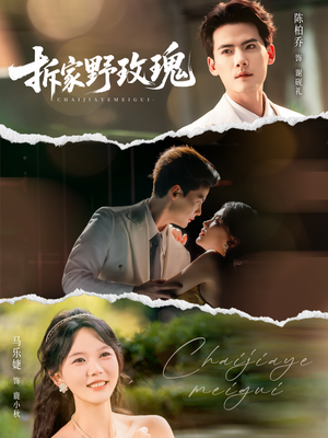 拆家野玫瑰(80集) 拆家野玫瑰(80集)短剧热播抢先看