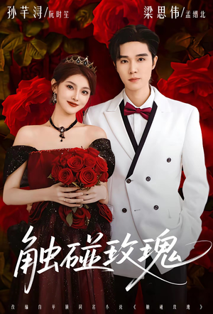 触碰玫瑰(80集) 触碰玫瑰(80集)免费看短剧全集