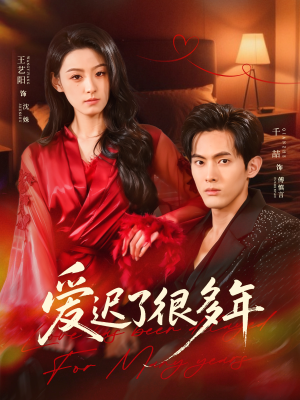 爱迟了很多年（73集）在线看免费版