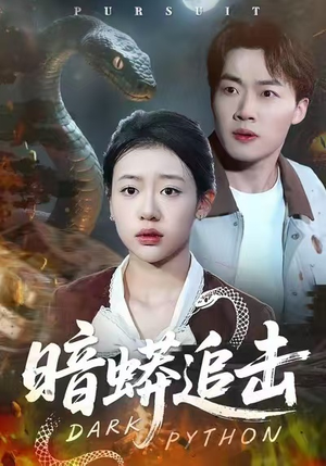 暗蟒追击（35集）短剧精彩绝伦