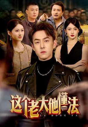 这个老大他懂法（100集）短剧精彩不断