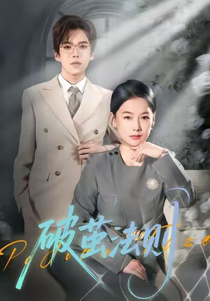 破茧法则（66集）温柔追捕短剧