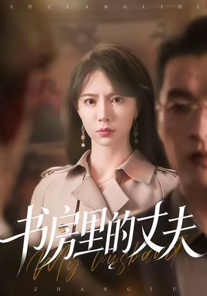 书房里的丈夫（100集）爱上了这部剧了