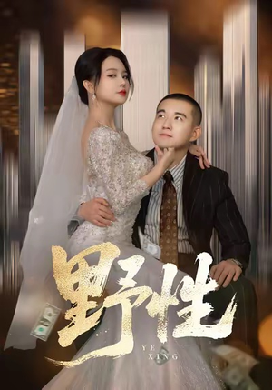 野性（70集）直接追到结尾