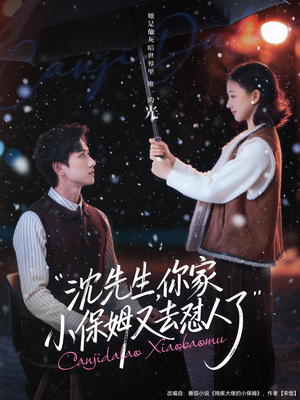 沈先生，你家小保姆又去怼人了（82集）精彩热门短剧