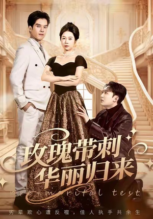 婚前测试他不配（83集）百度网盘资源