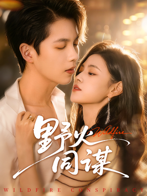 野火同谋（66集）我全都看完了