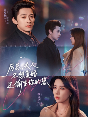 厉总，夫人不想复婚还偷生你的崽（80集）全集我都看完了