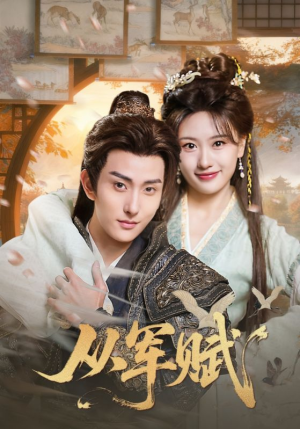 从军赋（74集）一口气看完全集