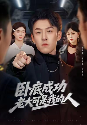 卧底成功老大可是我的人(99集) 卧底成功老大可是我的人(99集)红果免费看短剧