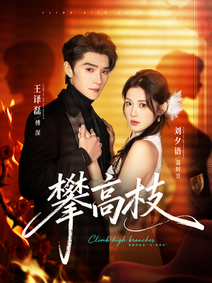 攀高枝（70集）第32集