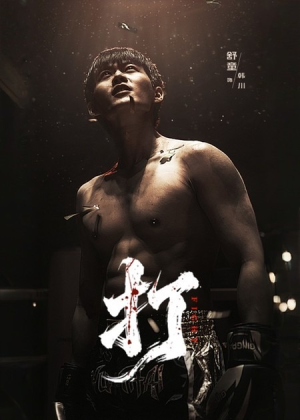 打(63集) 打(63集)免费看短剧