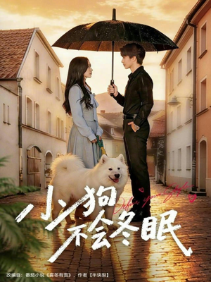 小狗不会冬眠（70集）怎么看全集
