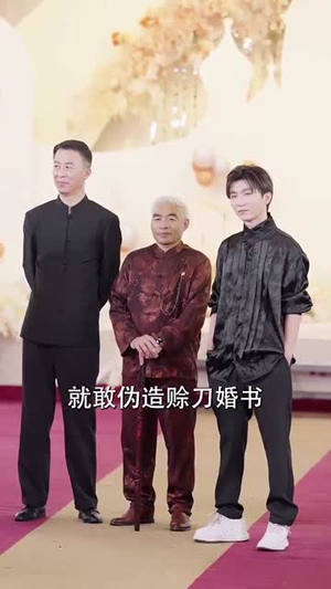 隐世奇人闯都市(61集) 隐世奇人闯都市(61集)免费短剧大全