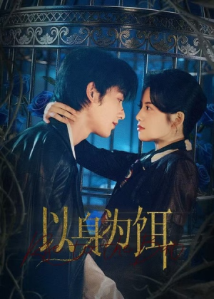 以身为饵(61集) 以身为饵(61集)一口气看完