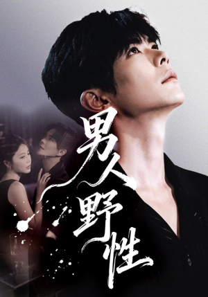 男人野性(66集) 男人野性(66集)热播短剧分享