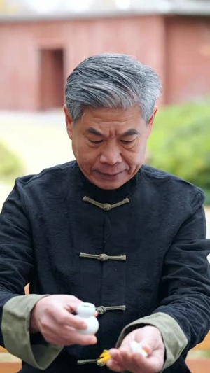 修仙下凡：我把豪门治服了（80集）短剧看全集