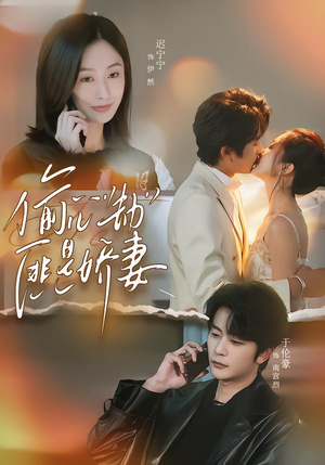 偷“心”劫匪是娇妻（61集）精彩短剧随心推