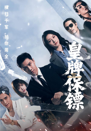 皇牌保镖(66集) 皇牌保镖(66集)观看软件