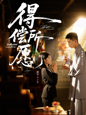 得偿所愿（65集）短剧演员排行榜