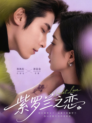 紫罗兰之恋（82集）精彩短剧热播中