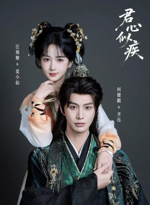 君心似疾（80集）精彩短剧下载
