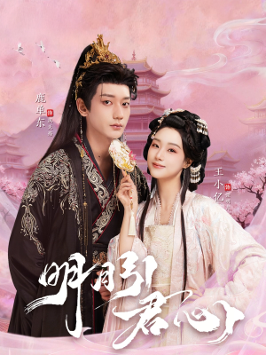 明月引君心(74集) 明月引君心(74集)经典老剧免费看