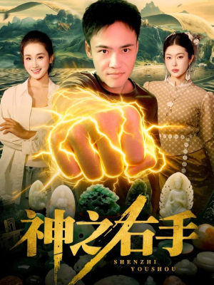 神之右手(100集) 神之右手(100集)大结局完美收官