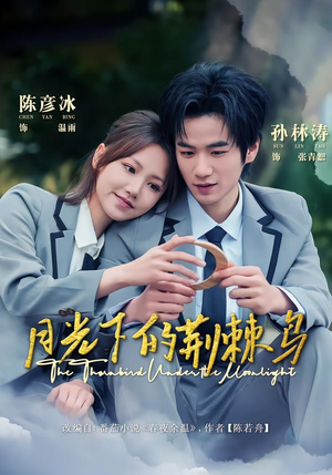 月光下的荆棘鸟（80集）最新火爆短剧